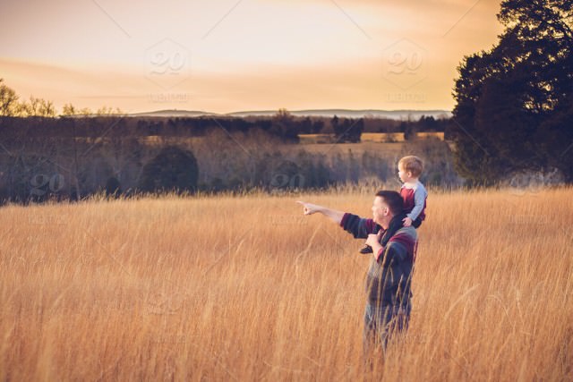 Parent carrying a child on their shoulders through a golden field at sunset