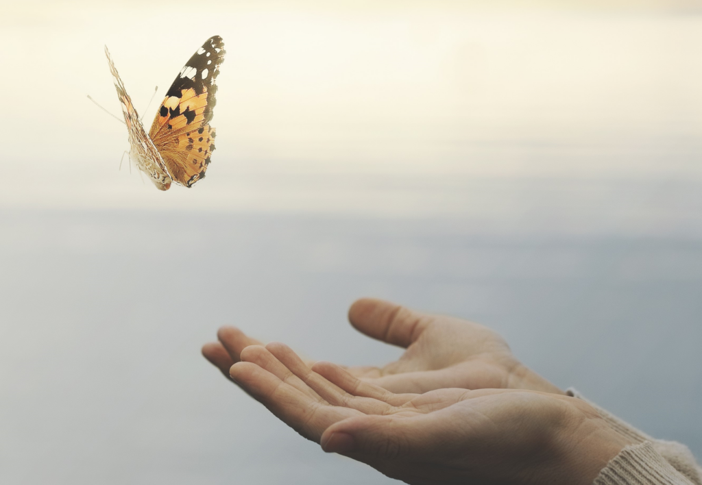 Open hand releasing a butterfly into the sky, letting go